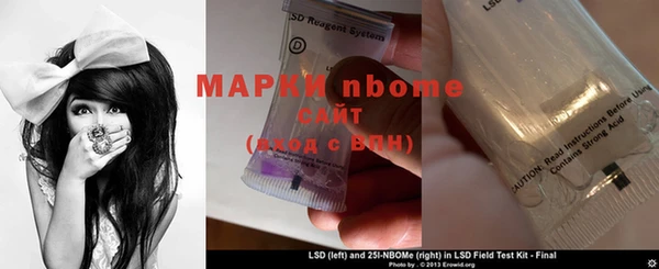 apvp Алзамай