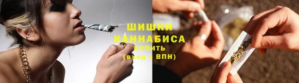 apvp Алзамай