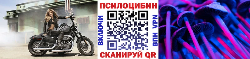 Галлюциногенные грибы GOLDEN TEACHER  omg как войти  Бабушкин  сколько стоит 